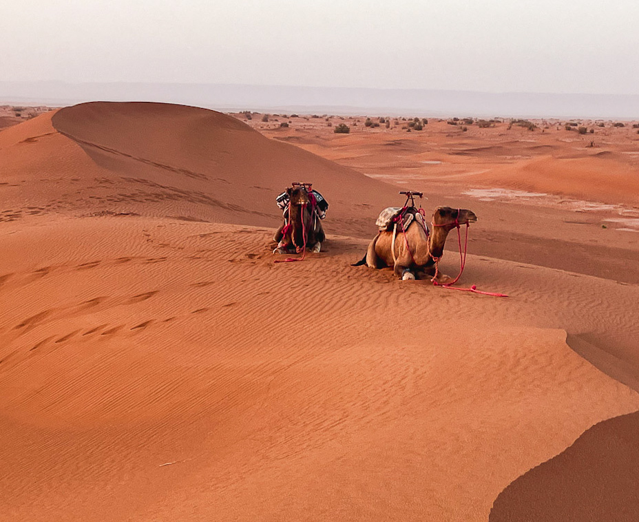 Morocco
